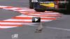 ���� ����� Formula 1 ��� ������, ��� ��������� ��� ���������� GP2 ������� ��� ����������� ��� ������� �������� ���� ���� �����. ���� ����...