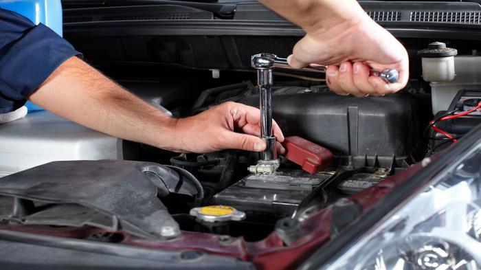    service 