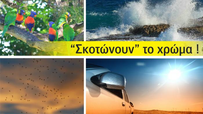 Τι «σκοτώνει» το χρώμα το καλοκαίρι