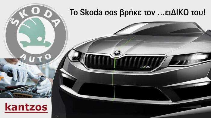 Η λύση για Skoda και Group VAG!