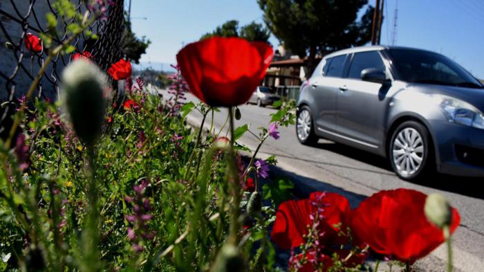 Προγράμματα με επίκεντρο τον οδηγό