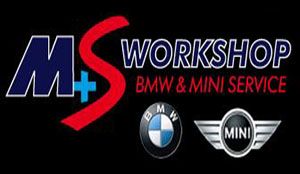 M+S Workshop