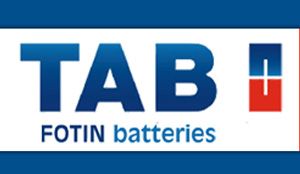   - FOTIN BATTERIES