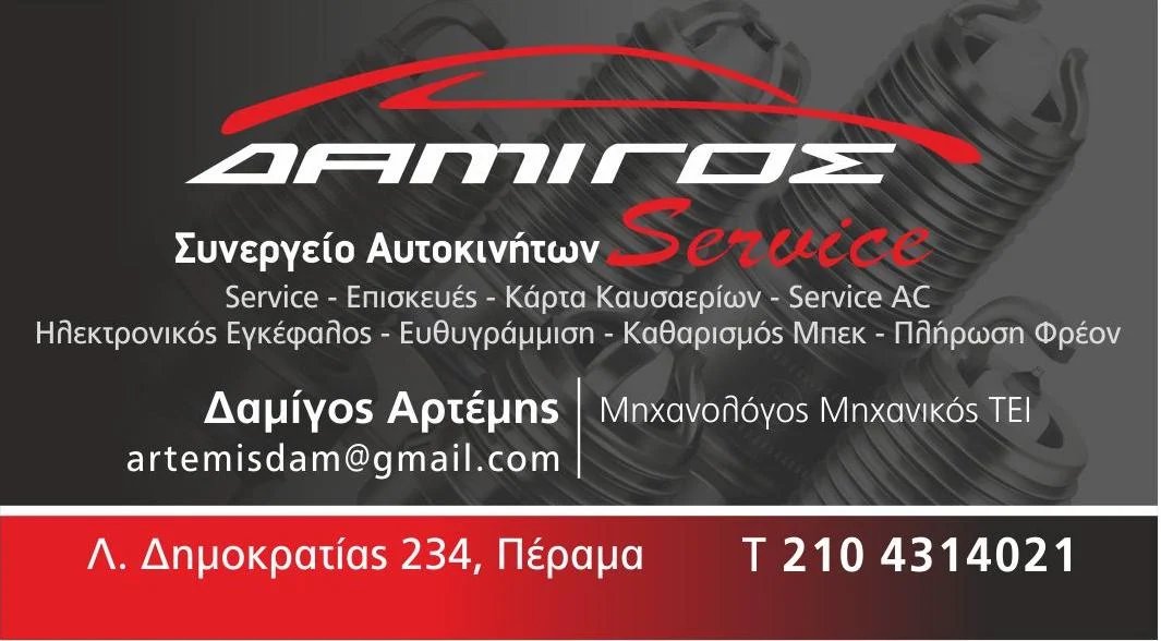 DAMIGOS SERVICE (Δαμίγος Αρτέμιος Π.)
