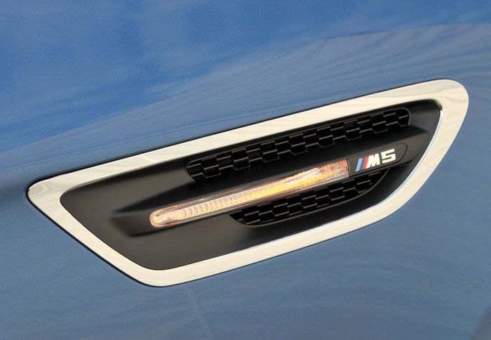 Χαρακτηριστικά τα πλευρικά βράγχια στα φτερά, που φέρουν και τους δείκτες αλλαγής πορείας.