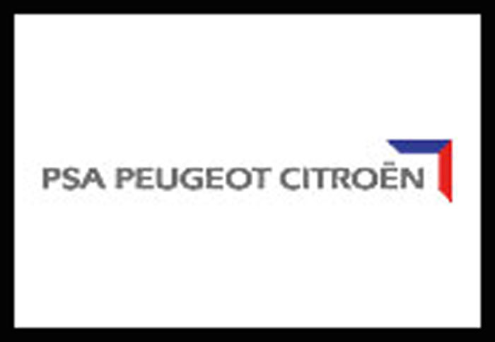 Νέο Δ.Σ στη PSA