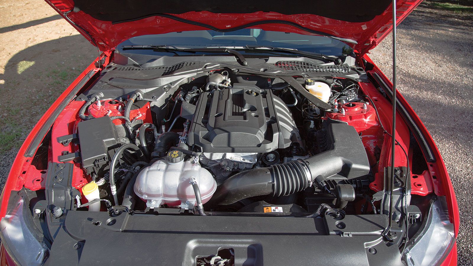 Με 317 άλογα στις 5.500 σ.α.λ. και άφθονη ροπή, που φτάνει τα 432 Nm στις 3.000 σ.α.λ, η Musntang δεν έχει πρόβλημα να επιταχύνει από τα 0-100 χλμ./ώρ