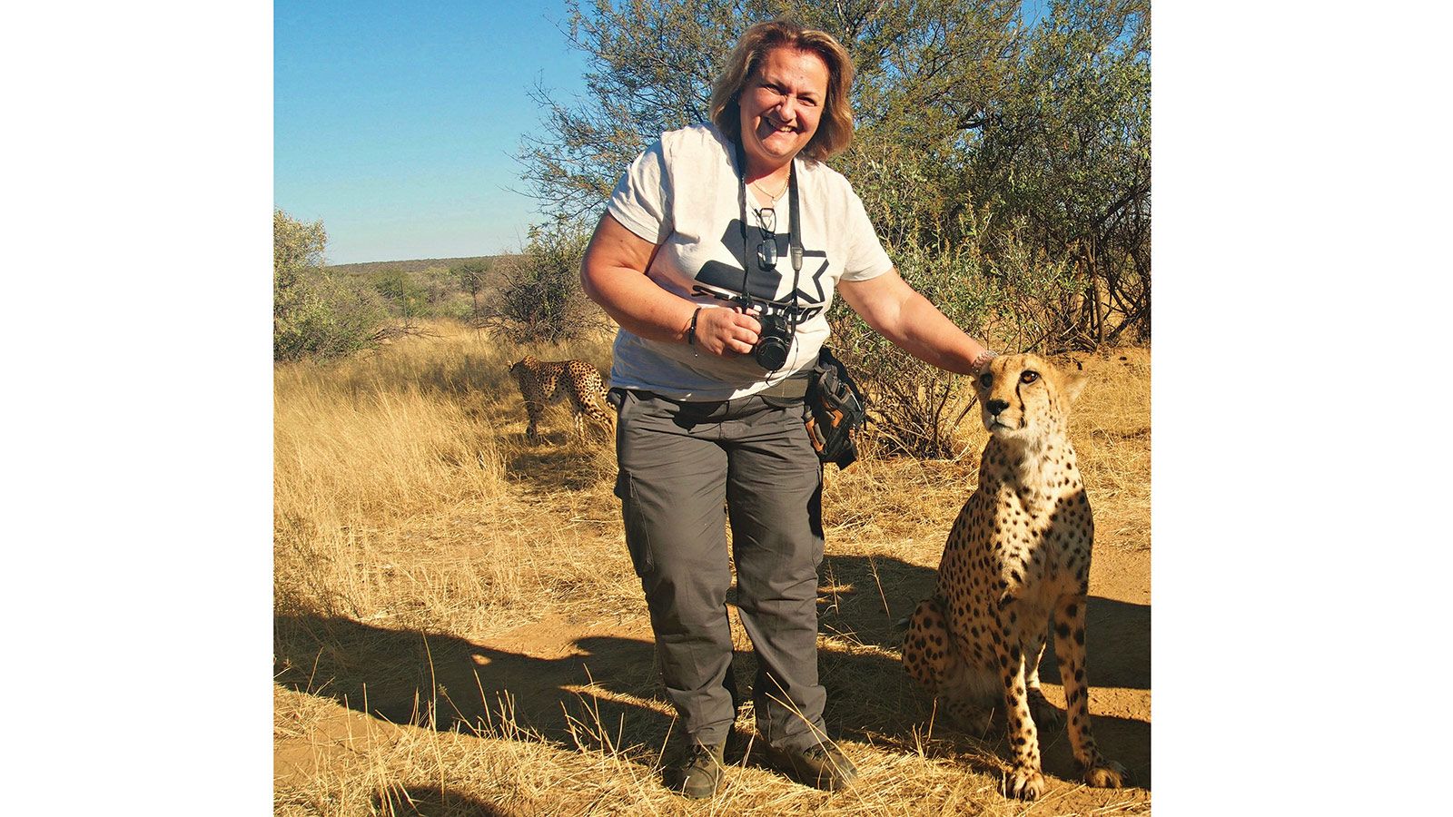 Η υπεύθυνη Δημοσίων Σχέσεων της Toyota Hellas, Κλαίρη Χατζηγιάννη, με την παροιμιώδη ψυχραιμία της, 
χαϊδεύει το άγριο Τσιτάχ. 
