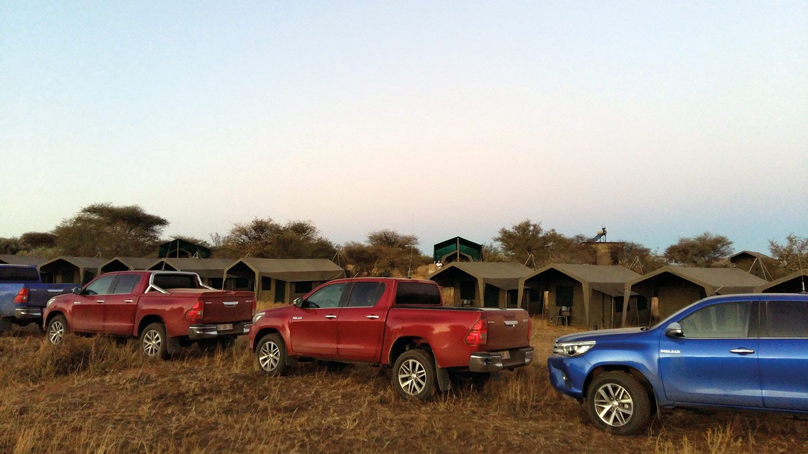 Βόρεια του Βιντχουκ διανυχτερεύσαμε σε σκηνές, στη φάρμα Naankuse. Πλούσια η πανίδα της περιοχής. Οι συνοδοί μας αποκάλυψαν ότι  οι θόρυβοι που ακούσα