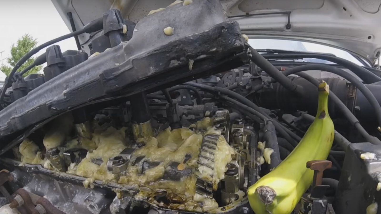 Τελικά ούτε η μπανάνες σταματάνε ένα μοτέρ Toyota.