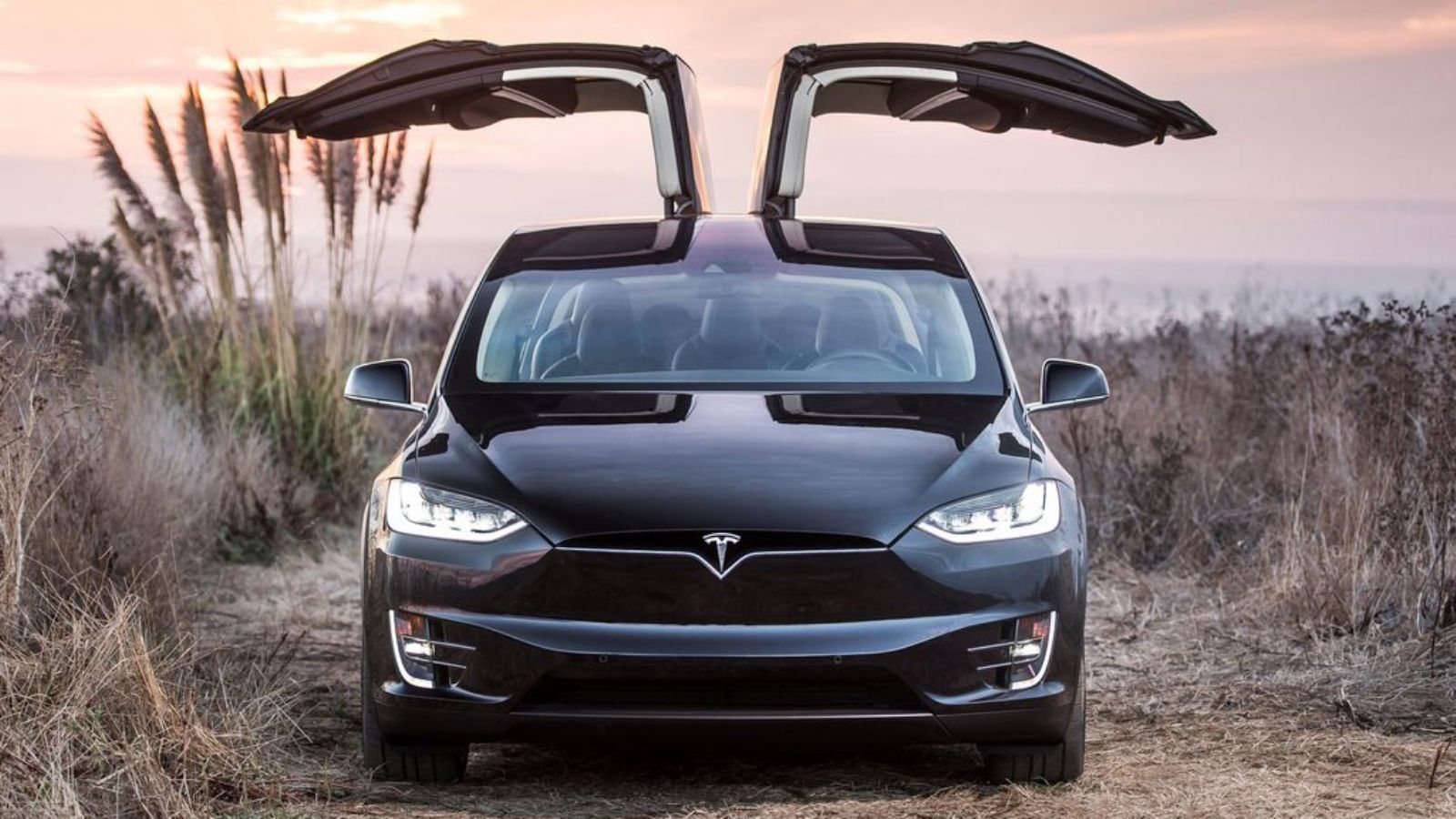 Η Tesla ανακοίνωσε τη νέα μειωμένη τιμή του SUV της εταιρείας Model X στις 79.500 δολάρια.