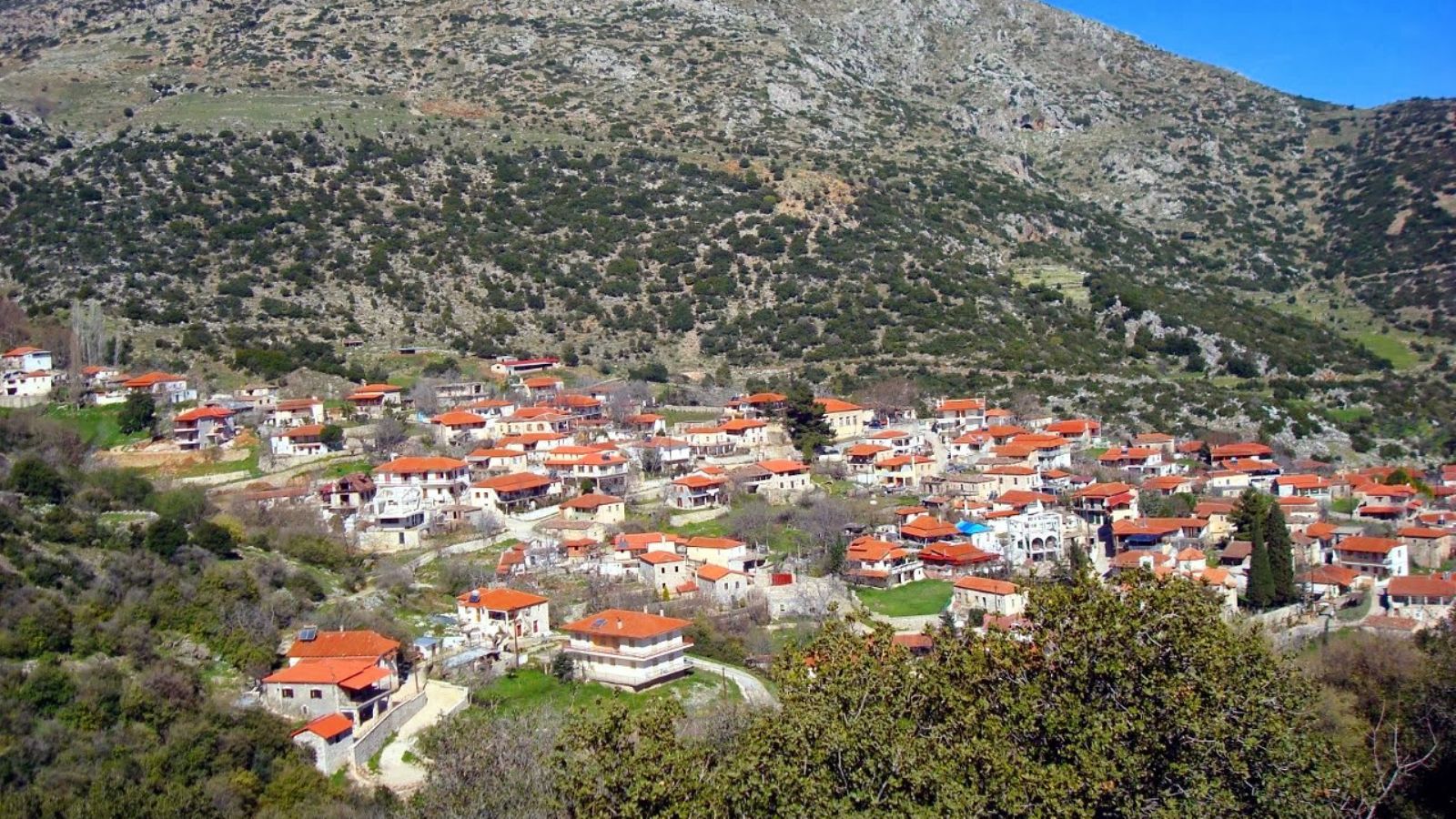 Από την Αθήνα στο «Κολοκοτρωνίτσι»