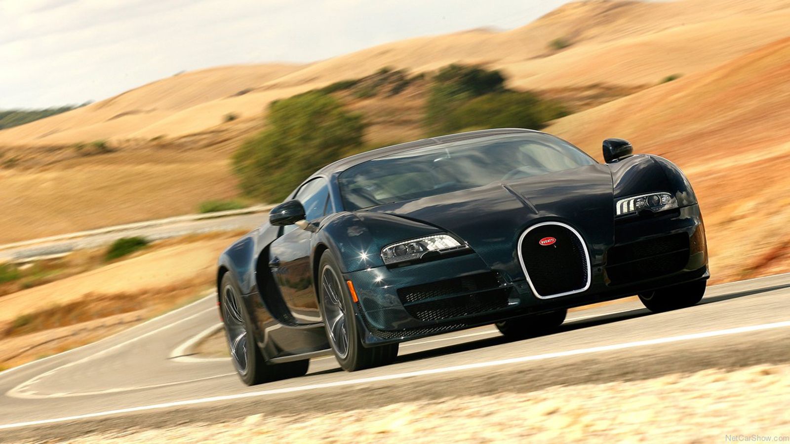 H Veyron Super Sport.
