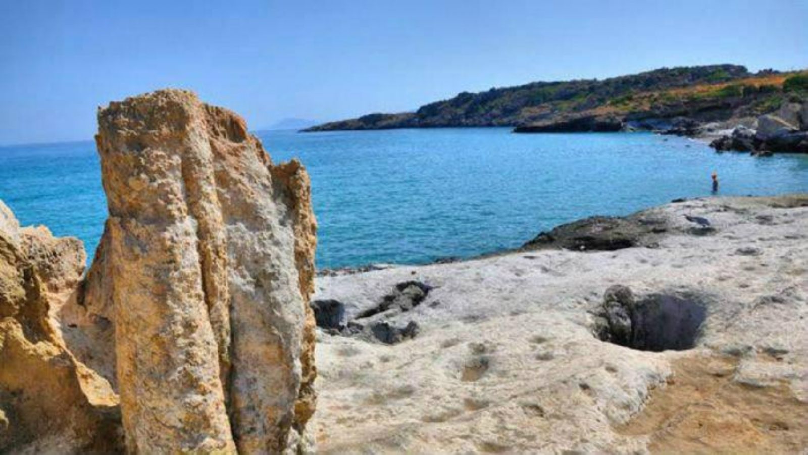 Το απολιθωμένο δάσος της Πελοποννήσου