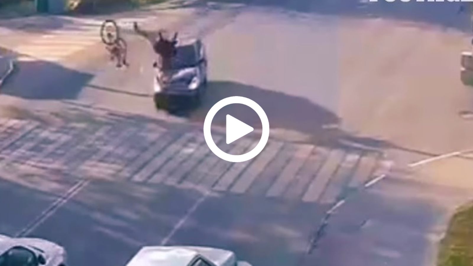 Ποδηλάτης πρέπει να είναι ευτυχισμένος που... ζει!