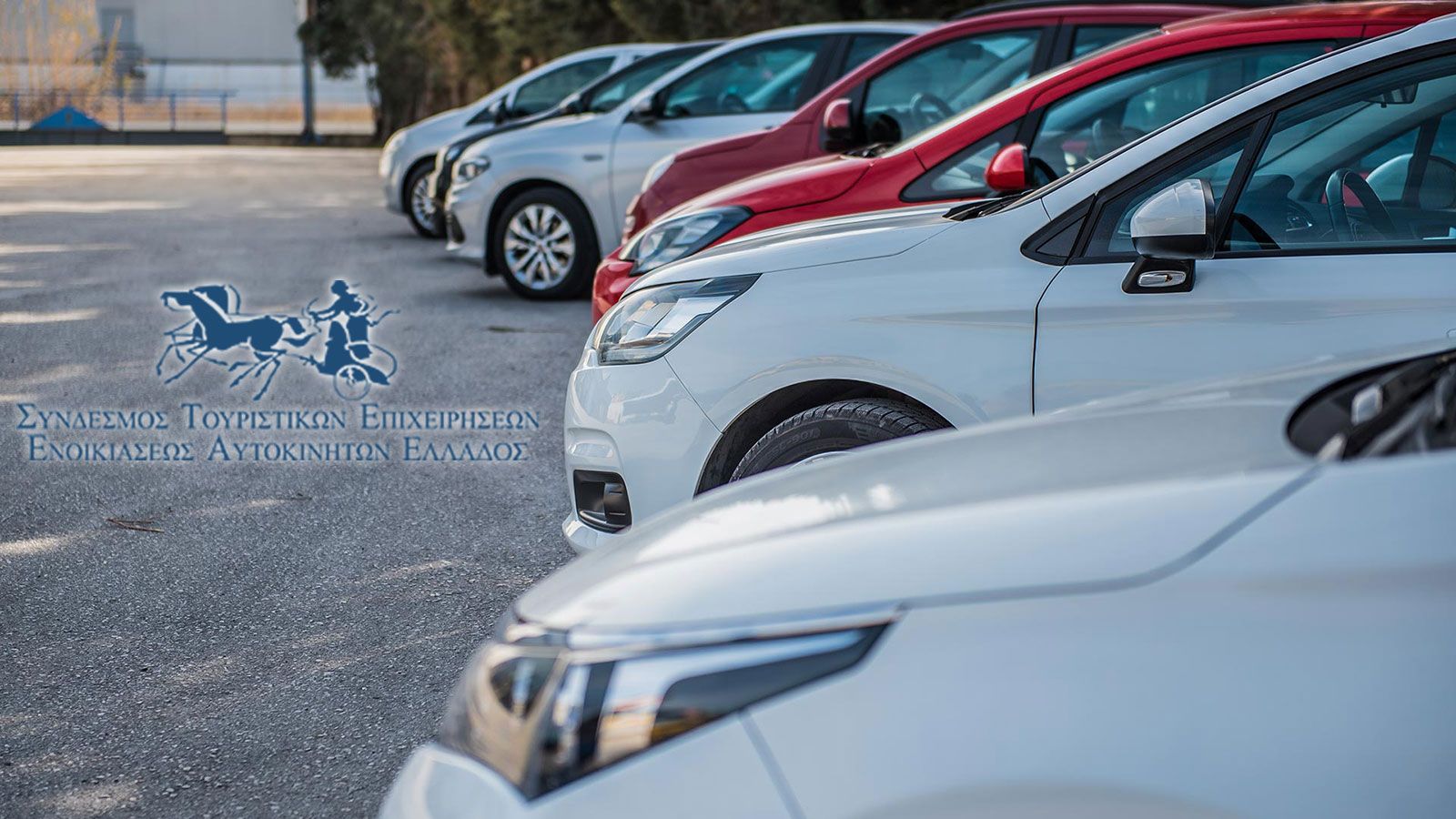 Νέο Δ.Σ. στον ΣΤΕΕΑΕ