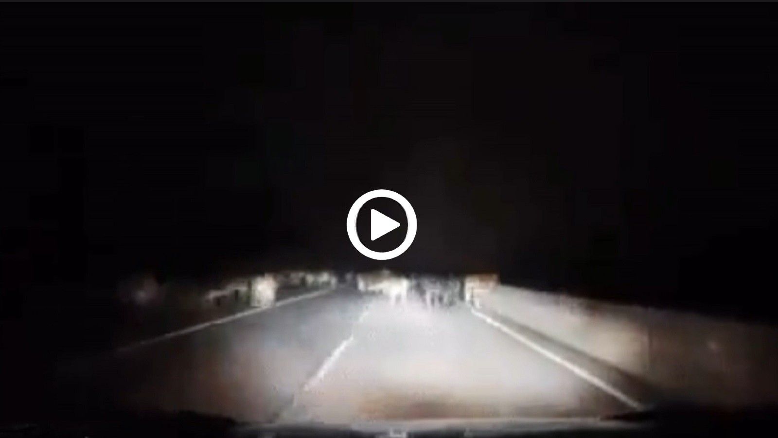 VIDEO: Πατημένος, νύχτα, σε σκοτεινό δρόμο στουκάρει σε κοπάδι αγελάδων