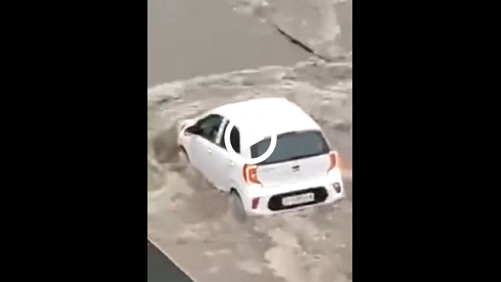 VIDEO: Το κανε βάρκα και... έπλευσε απέναντι!