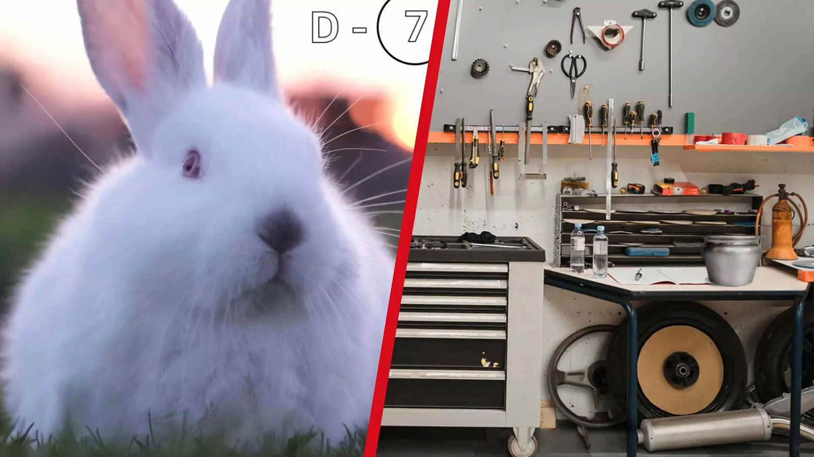 Η VW αναβιώνει την ονομασία Rabbit και δείχνει ένα κουνέλι!