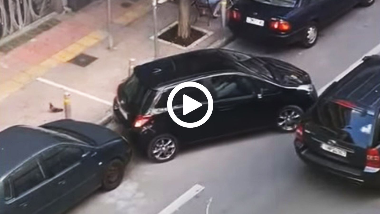 Πες μου ότι λάδωσες για να πάρεις δίπλωμα χωρίς να μου το πεις