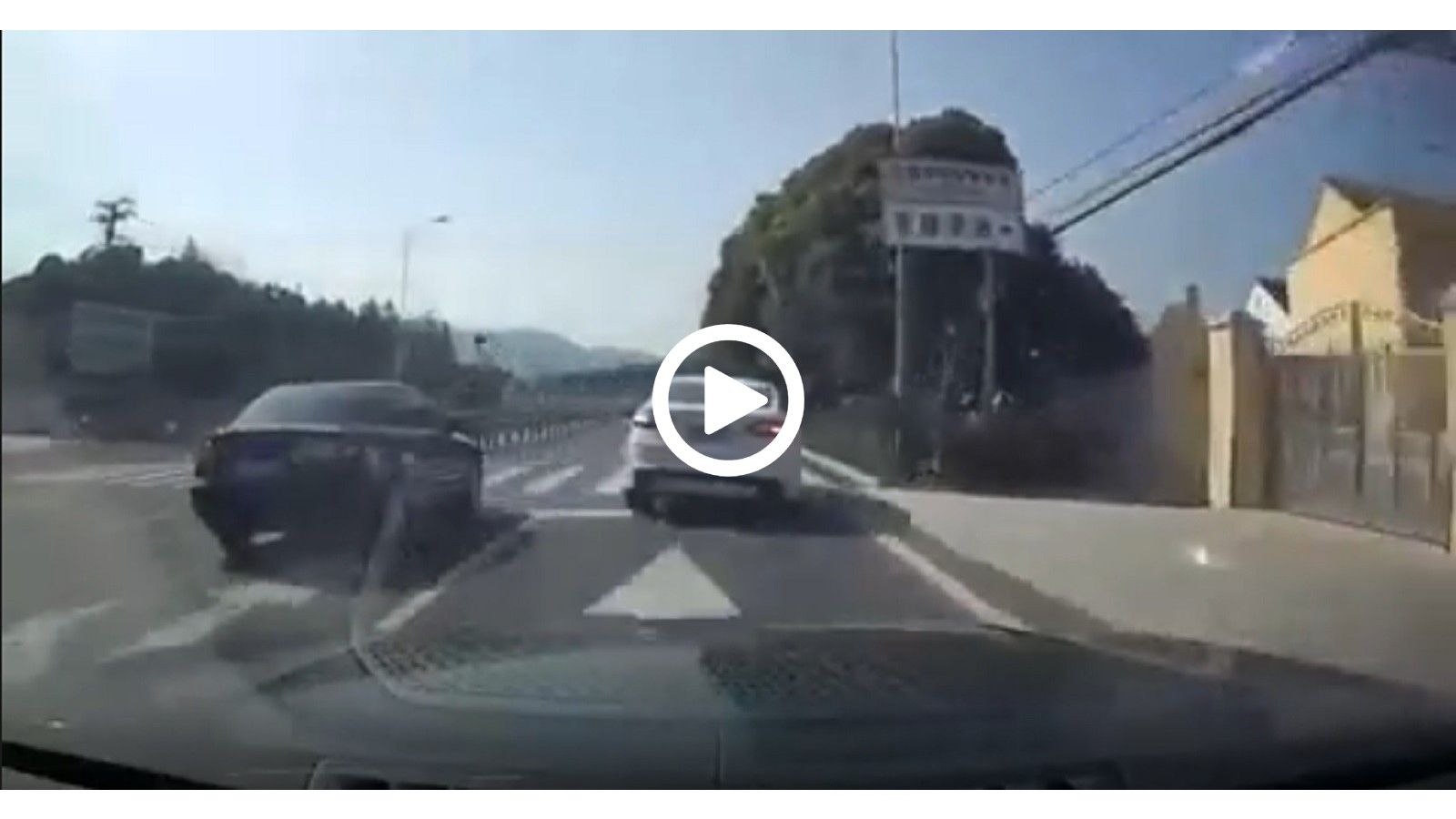 VIDEO: Εκείνο το δέντρο του φταιγε καιρό