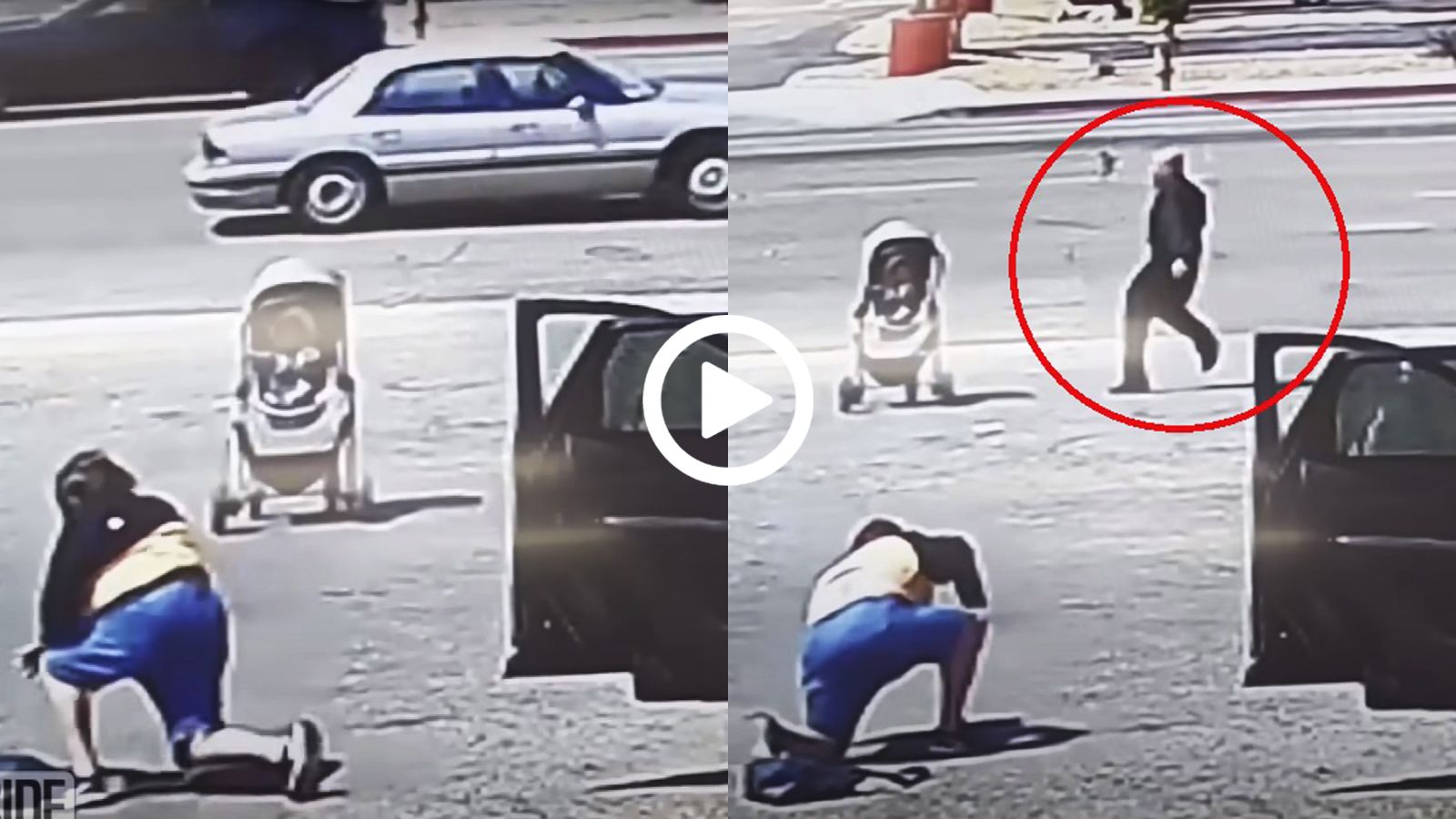 Φτεροπόδαρος ήρωας σώζει μωρό-παιδί από τον θάνατο