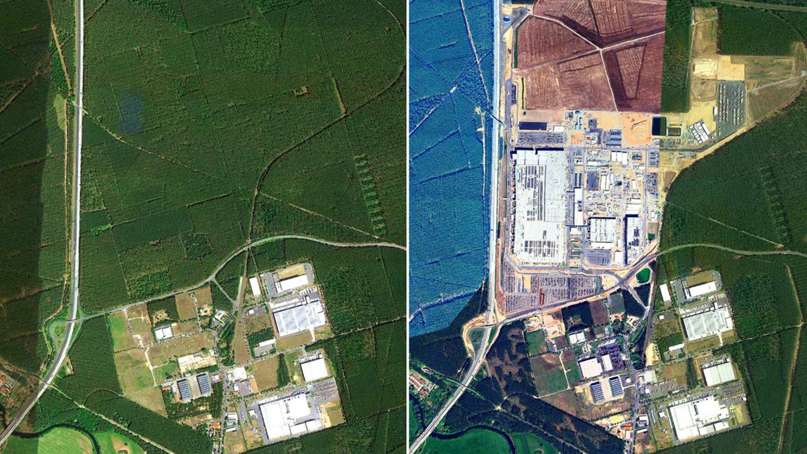 Κόπηκαν 500.000 δέντρα για το Gigafactory της Tesla στο Βερολίνο