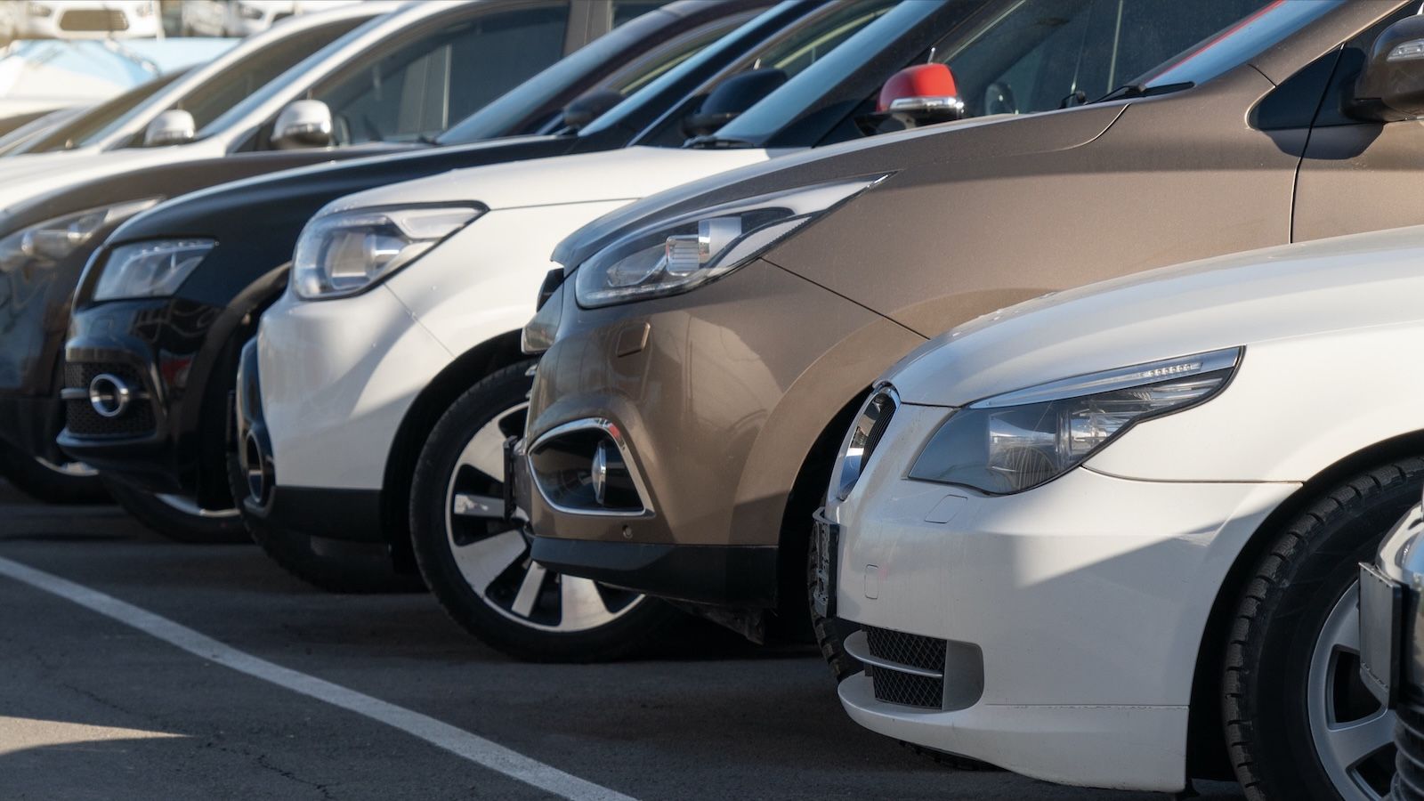 used cars lot