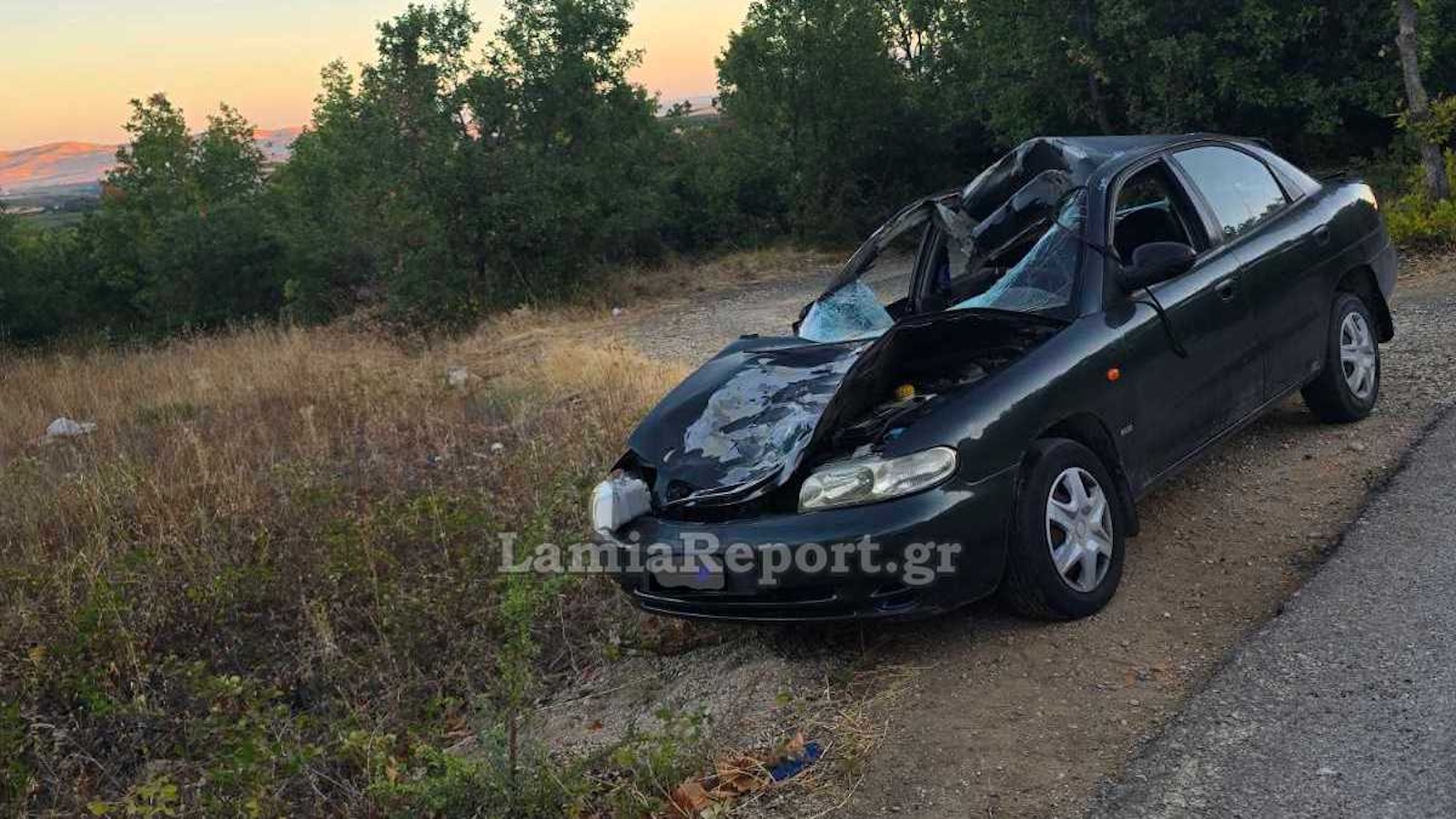 Τροχαίο με αγελάδα στη Φθιώτιδα – Σοβαρά τραυματισμένη μια γυναίκα