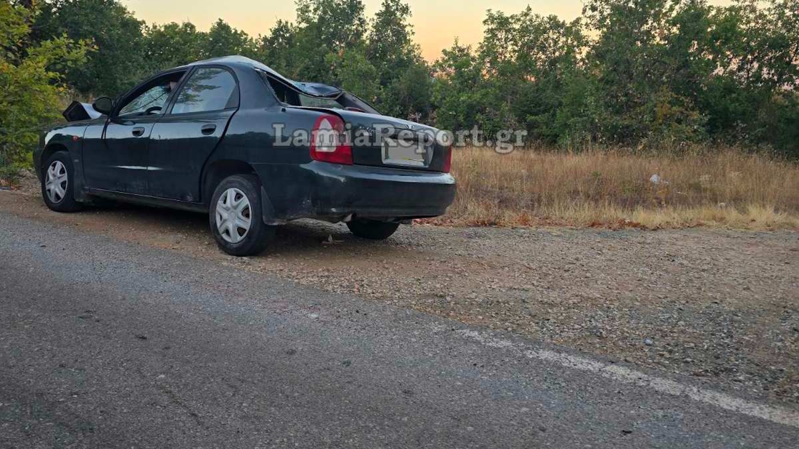Τροχαίο με αγελάδα στη Φθιώτιδα – Σοβαρά τραυματισμένη μια γυναίκα