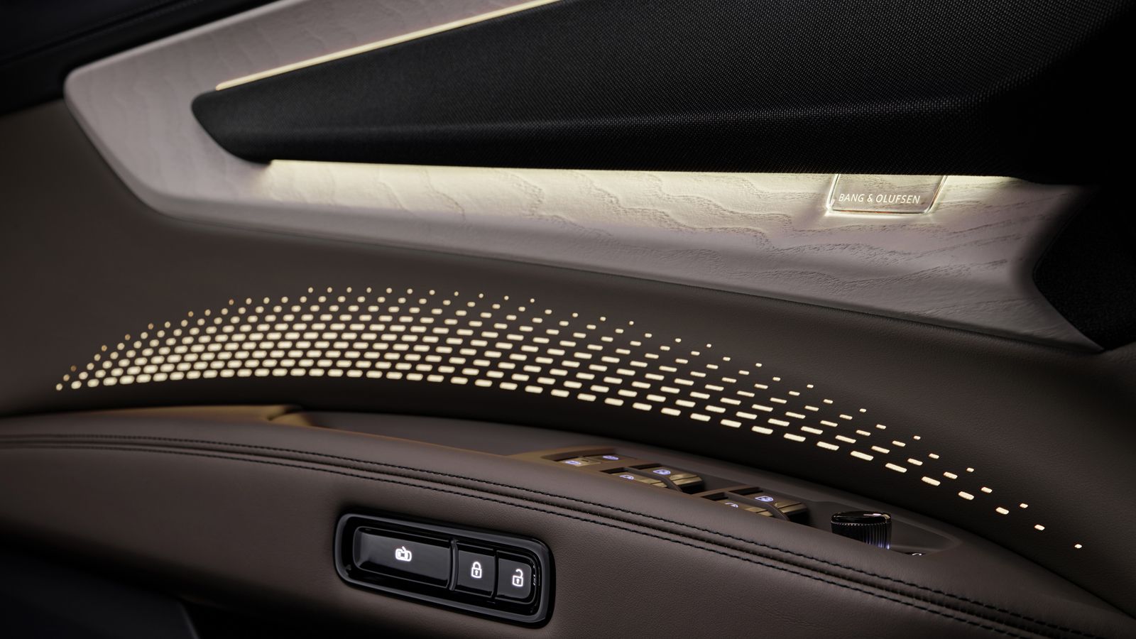 detailed view of door panel and Bang & Olufsen sound system