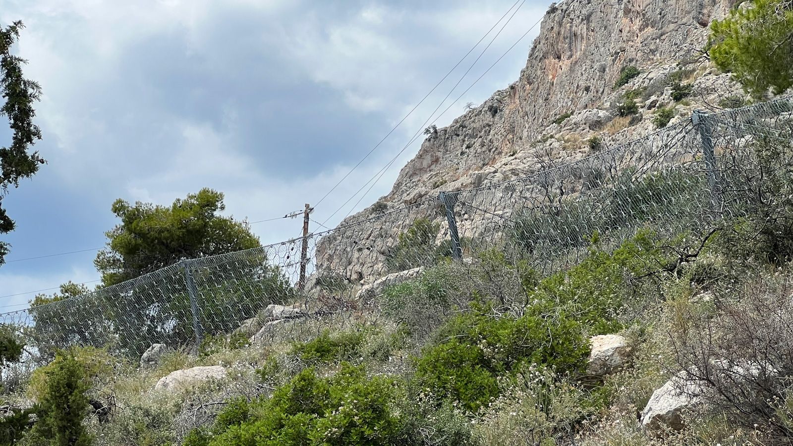 Δίχτυ από συρματόπλεγμα στο δρόμο -Πού χρησιμεύει & γιατί υπάρχει;