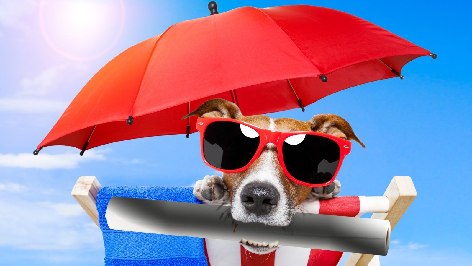 Ηλιοπροστασία στο αυτοκίνητο