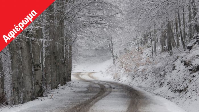 Το ολοκληρωμένο service αυτοκινήτου στις εξουσιοδοτημένες μονάδες των εταιρειών εγγυάται την απαραίτητη οδική ασφάλεια σε όλες τις καιρικές συνθήκες τ