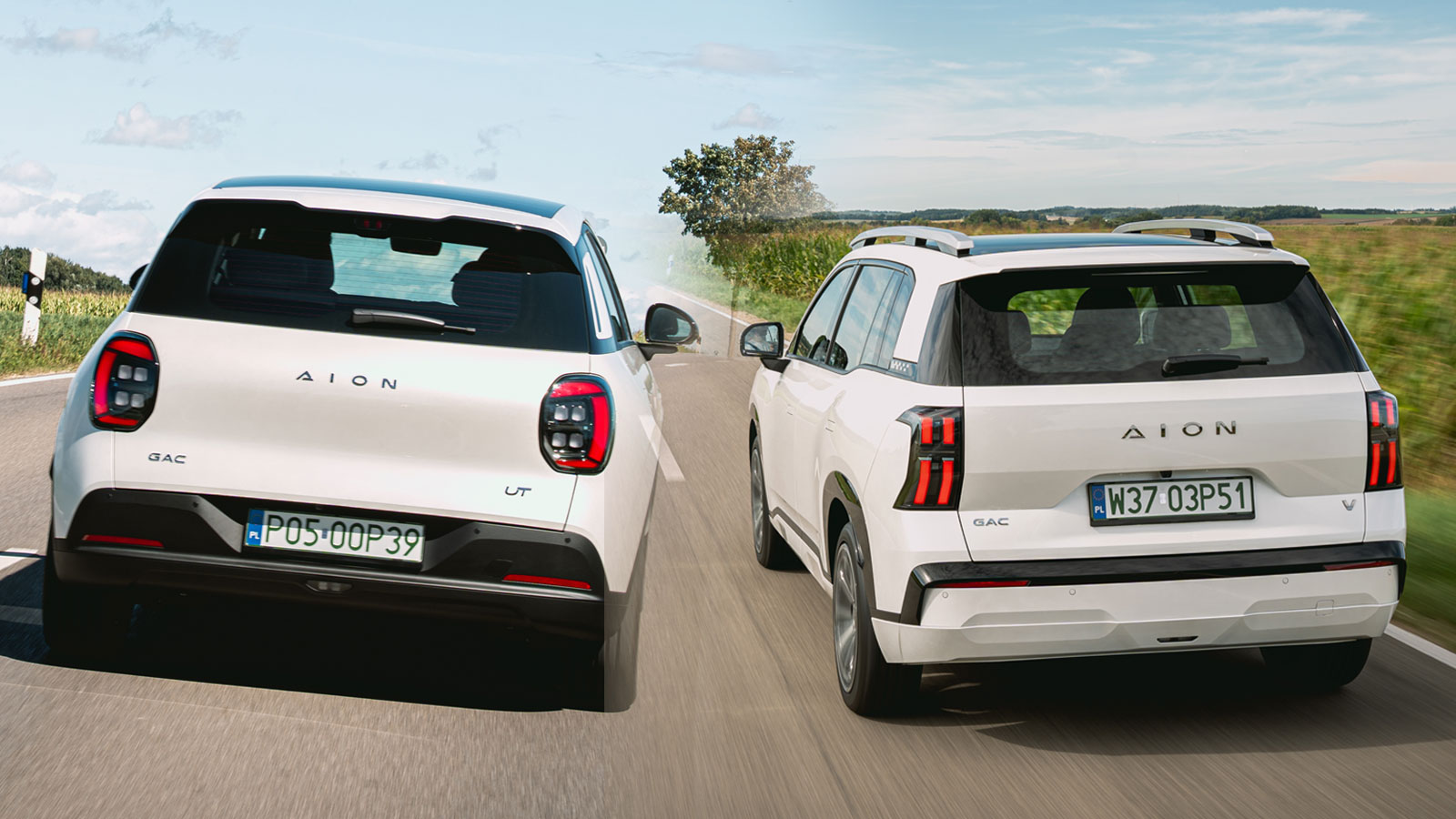 Η αποκλειστική εισαγωγή και διάθεση των μοντέλων της AΙΟΝ θα γίνει από την Inchcape Plc Group, η οποία είναι ο αποκλειστικός εισαγωγέας των Toyota και Lexus στη χώρα μας.