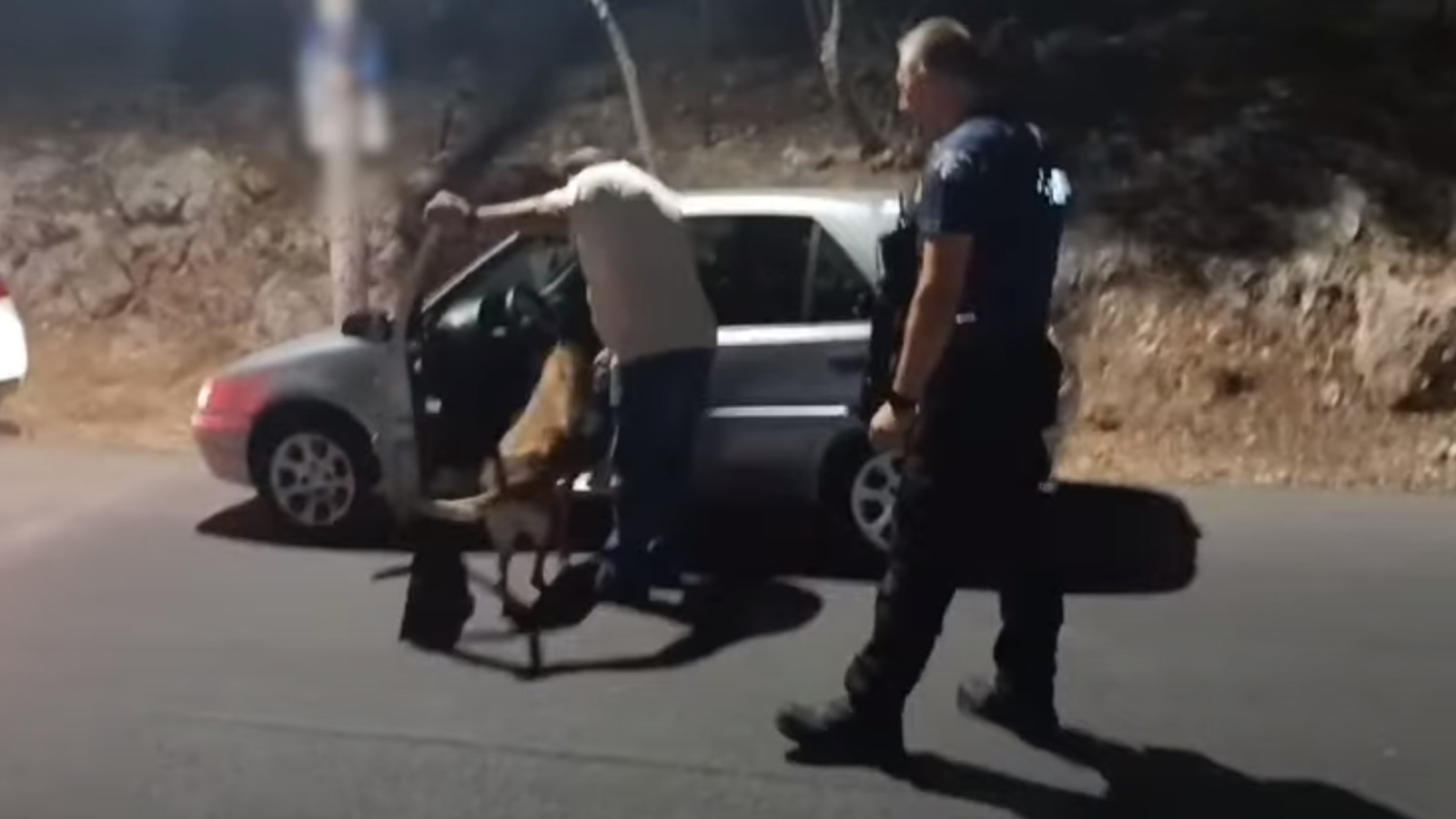 Δ. Αττική: Τροχονομικοί έλεγχοι με αστυνομικούς σκύλους από την ΕΛ.ΑΣ. 