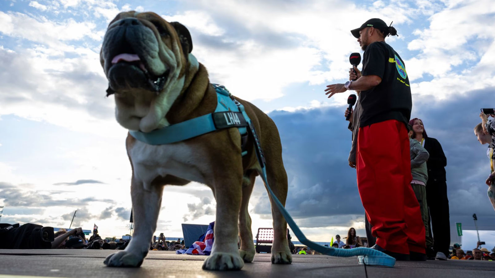 Έφυγε από την ζωή ο σκύλος του Lewis Hamilton, Roscoe