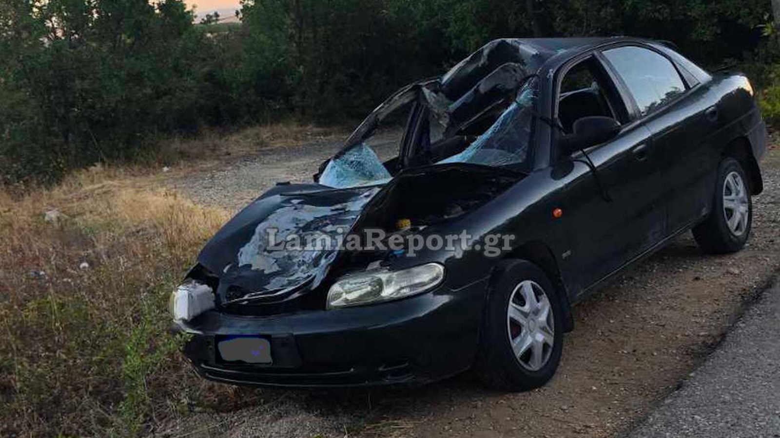 Τροχαίο με αγελάδα στη Φθιώτιδα – Σοβαρά τραυματισμένη μια γυναίκα 