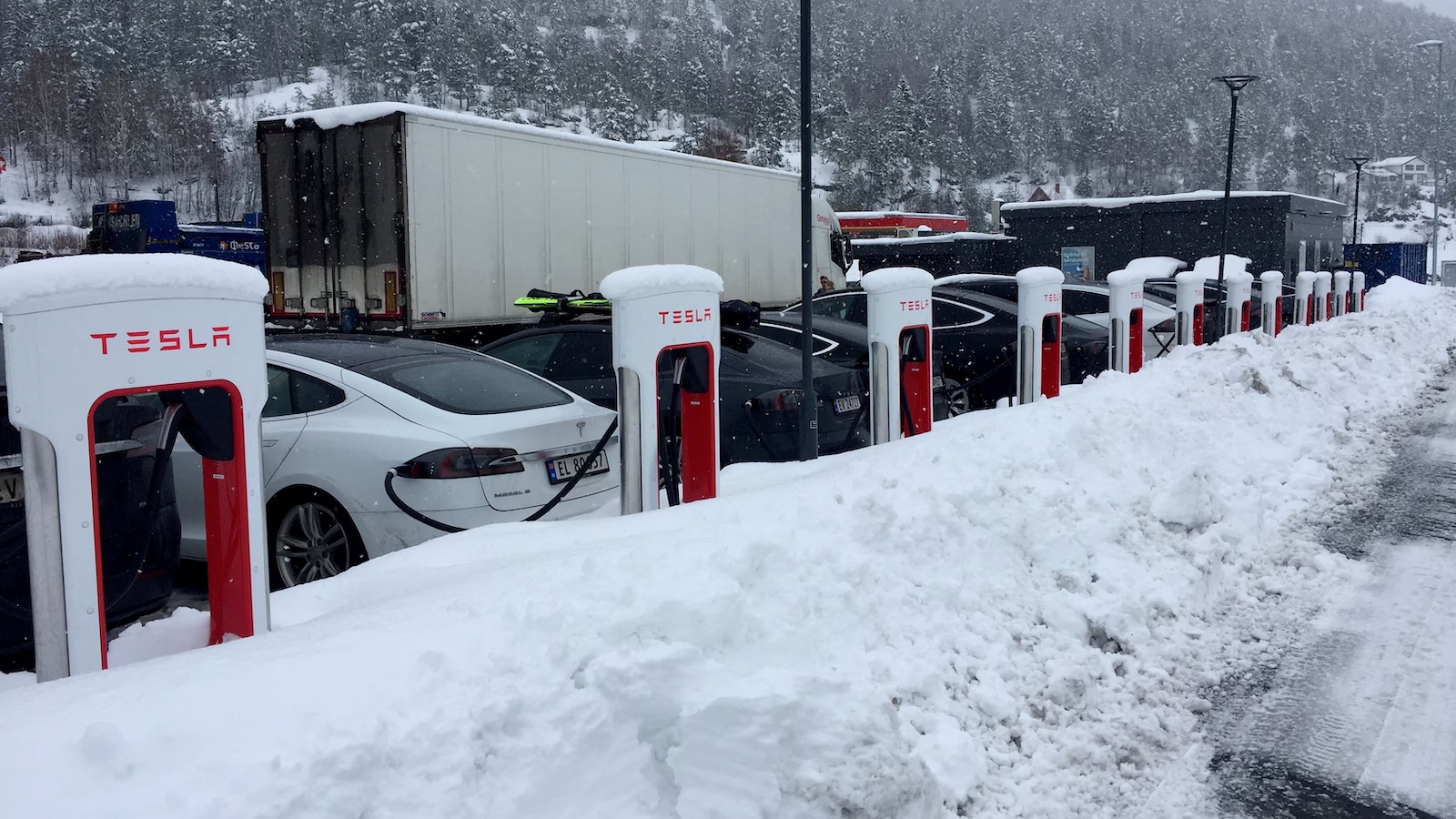 H Tesla είναι η 1η μάρκα στη χώρα, με την επιτυχία των Model Y και Model 3. Παράλληλα κερδίζει την σταθερή προτίμηση του κοινού χάρη στο εκτεταμένο δίκτυο φόρτισης και το χαμηλό κόστος χρήσης.