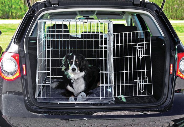 Εφόσον κουβαλάτε μαζί σας ζώα, μην τα αφήνετε ελεύθερα στο εσωτερικό του αυτοκινήτου.