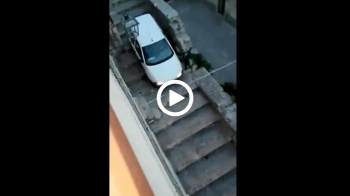 Fiat Punto πάει από τα σκαλοπάτια!