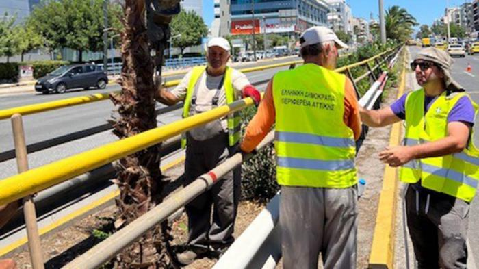 «Πρασίνισε» η Λεωφόρος Συγγρού με 300 φοίνικες 