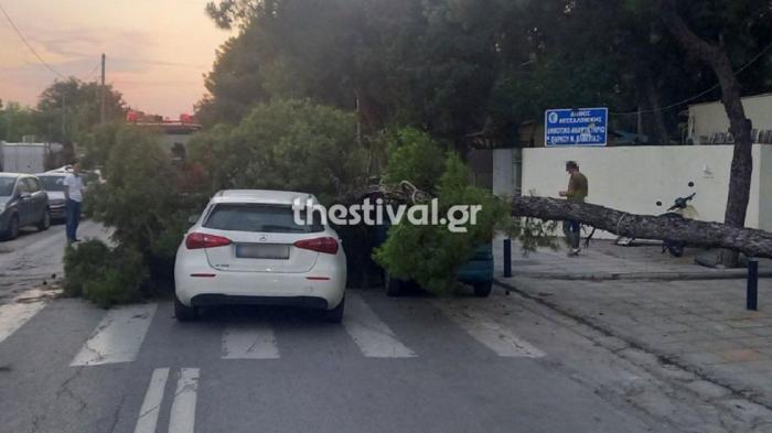 Έπεσε δέντρο σε εν κινήσει αυτοκίνητο στη Θεσσαλονίκη 