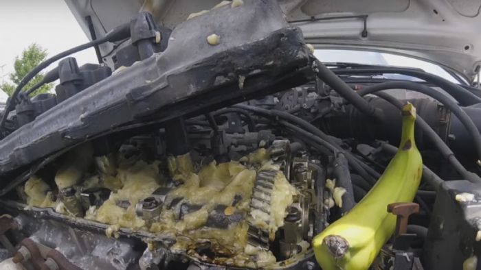 Τελικά ούτε η μπανάνες σταματάνε ένα μοτέρ Toyota.