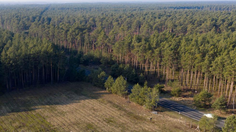 Ο χώρος στον οποίο σκοπεύει να χτίσει το εργοστάσιό της η Tesla.