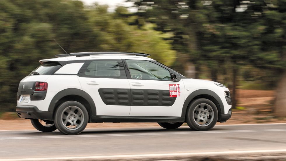 Test: C4 Cactus 1,2