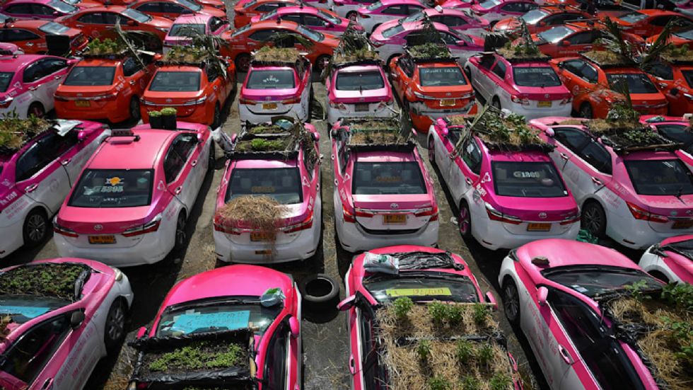 Εκατοντάδες ταξί Toyota μετατράπηκαν σε ένα τεράστιο μποστάνι 