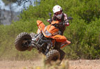           .     
     3 .  (    
quads),   (  atv  utility)         (entry level).        ,         !     .
 