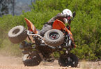           .     
     3 .  (    
quads),   (  atv  utility)         (entry level).        ,         !     .
 