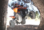           .     
     3 .  (    
quads),   (  atv  utility)         (entry level).        ,         !     .
 